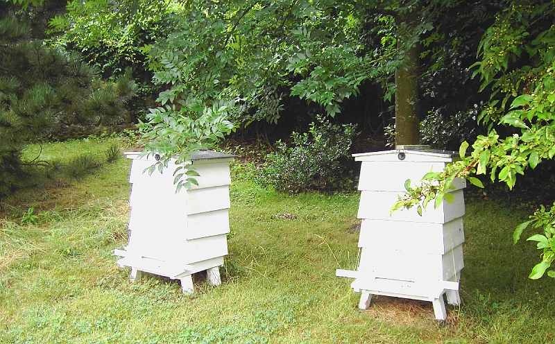 PICT0210 Bee Hives Ightham Mote.JPG - Bee Hives Ightham Mote